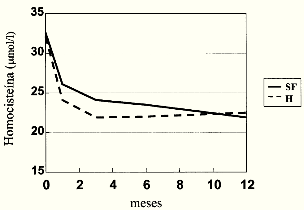 Fig. 3.--Niveles de Hcys durante el período de tratamiento en los dos grupos terapéuticos (SF: dosis suprafisiológicas; H: dosis habituales).