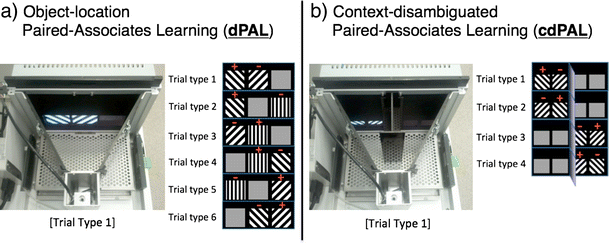 Photographs of the touch screen operant chamber system and depictions of trial types used in the a object-location paired-associates learning (dPAL) and b context-disambiguated paired-associate learning (cdPAL) tasks. In the trial type figures, positive sign denotes the correct object and negative sign denotes the incorrect object in each trial type. In cdPAL, a vertical barrier is inserted to divide the arena into two spatial contexts with a connecting central zone at the rear of the chamber