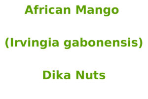 African Mango (Irvingia gabonensis)