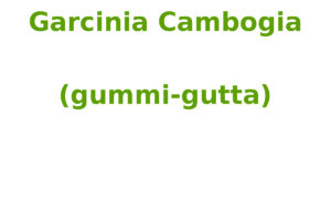 Garcinia Cambogia (gummi-gutta)