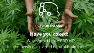 All You Need to Know about CBD oil in 2018