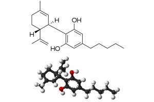 What is CBD?