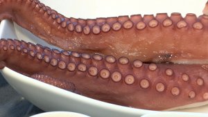 Does eating seafood increase our fertility? (Suzanne Antecka)