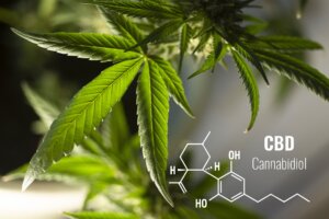 6 Magical Benefits Of CBD That You Should Know About