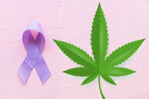 Epilepsy And Cannabis: How Can CBD Help Remedy The Condition?