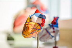 Arterys Lands FDA Go-Ahead to Expand Its Cardiac MRI-Reading AI - UCSF Rosenman Institute